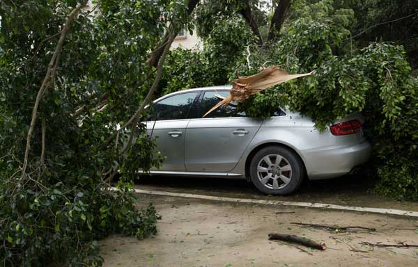 Pokok Tumbang Atas Kereta: Bolehkah Anda Buat Tuntutan Insurans / Takaful?