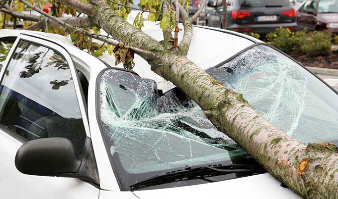 A Tree Fell On My Car: Can I Make An Insurance or Takaful Claim?